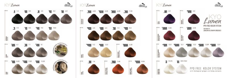 KYO LUMEN HAIR COLOR - Image 3